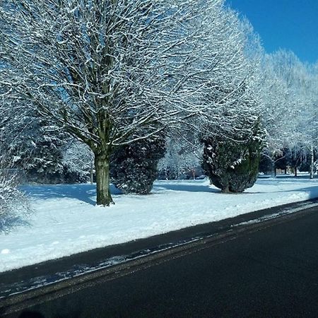 Appartamento Au Marronnier Lontzen Esterno foto